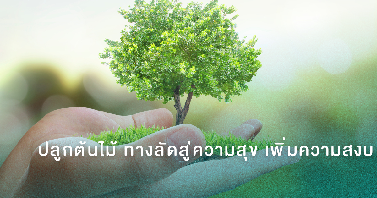 ปลูกต้นไม้ ทางลัดสู่ความสุข เพิ่มความสงบ